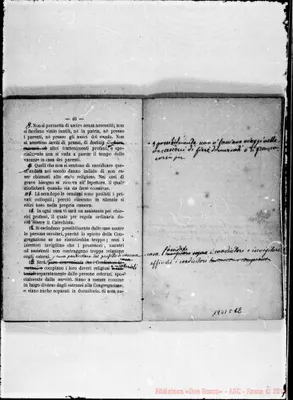 Fotogramma D 12