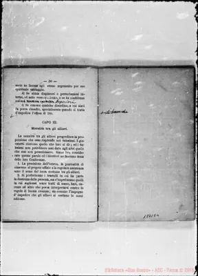 Fotogramma E 4
