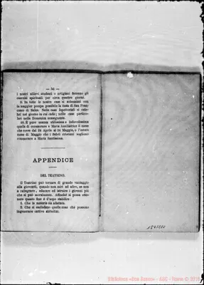 Fotogramma E 10
