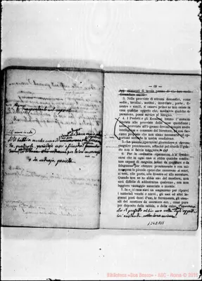 Fotogramma A 11