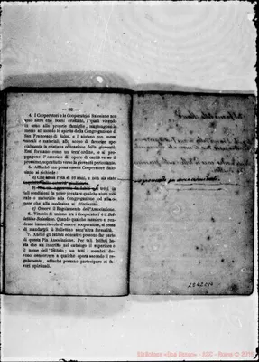 Fotogramma C 10