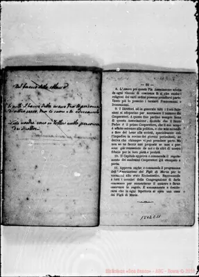 Fotogramma C 11
