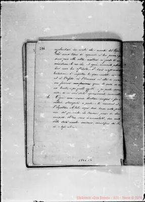 Fotogramma C 6