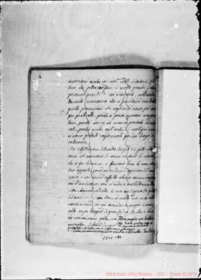 Fotogramma C 10