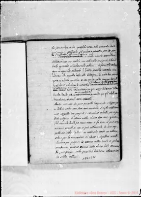 Fotogramma C 11