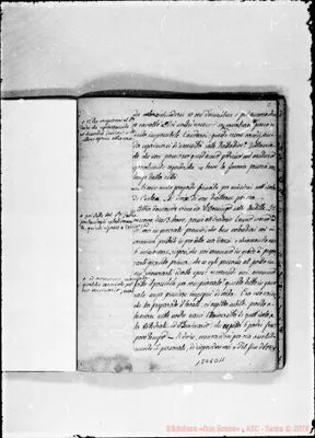 Fotogramma D 11