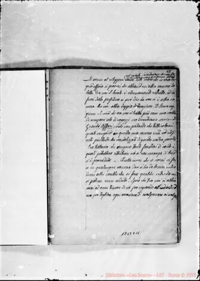 Fotogramma C 11