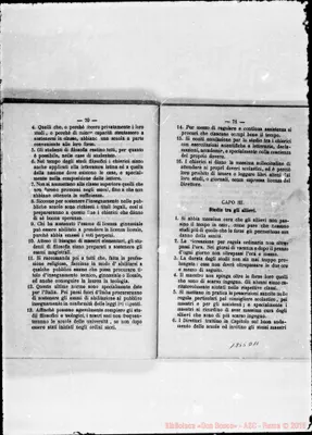 Fotogramma D 11