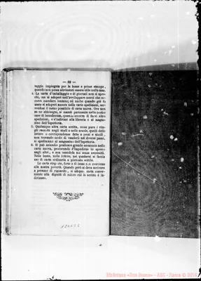 Fotogramma E 8