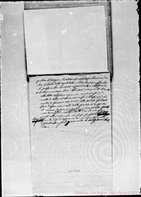 Fotogramma E 6