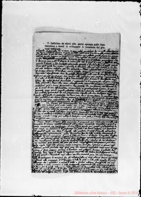 Fotogramma C 11