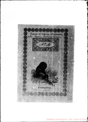 Fotogramma E 6