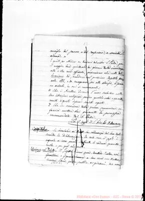 Fotogramma D 2
