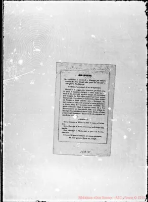 Fotogramma B 1