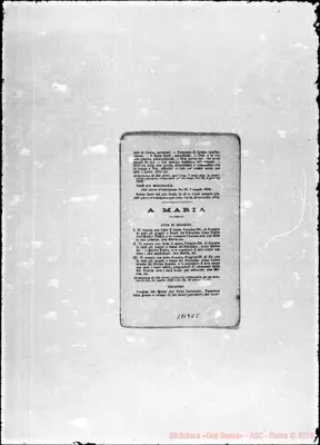 Fotogramma C 5