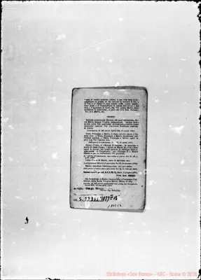 Fotogramma C 6