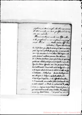 Fotogramma D 5