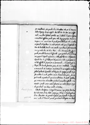 Fotogramma D 7