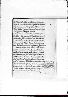 Fotogramma D 8