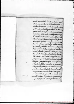 Fotogramma D 11