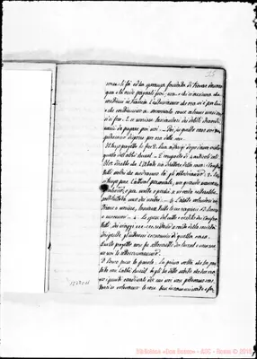 Fotogramma C 11