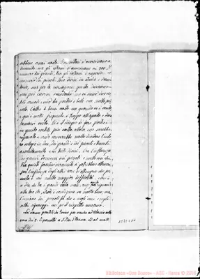 Fotogramma C 10