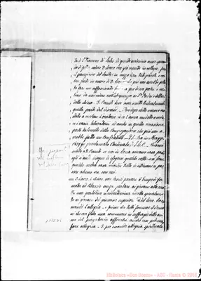 Fotogramma D 5