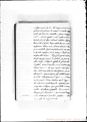 Fotogramma D 11