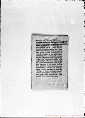 Fotogramma D 7