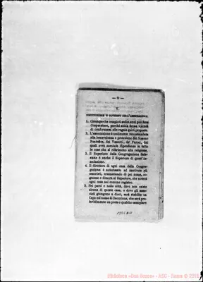 Fotogramma D 11