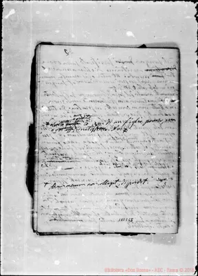 Fotogramma C 5