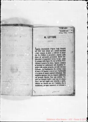 Fotogramma C 11