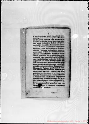 Fotogramma D 4