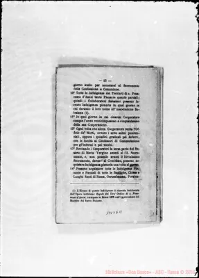Fotogramma D 11