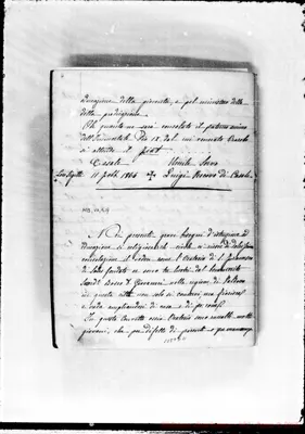 Fotogramma D 11