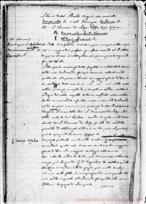 Fotogramma C 11
