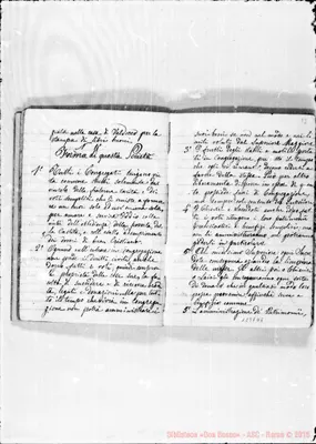 Fotogramma D 7