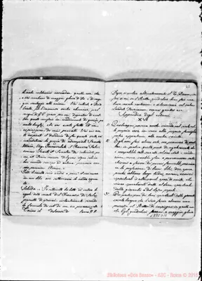 Fotogramma D 10