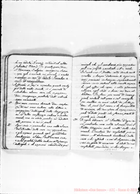 Fotogramma D 12