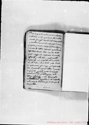 Fotogramma C 6