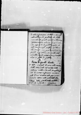 Fotogramma C 7