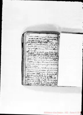 Fotogramma E 2