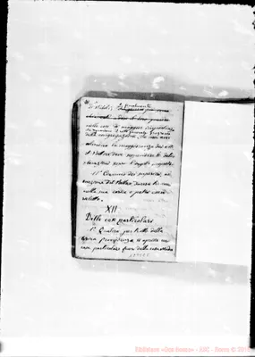 Fotogramma E 8