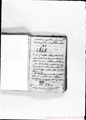 Fotogramma A 11