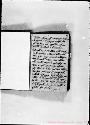 Fotogramma C 3