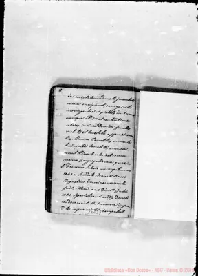 Fotogramma C 8