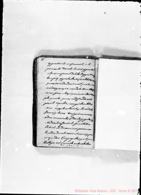 Fotogramma C 10