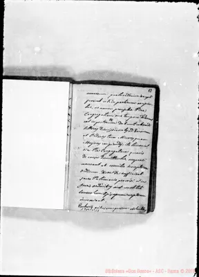 Fotogramma C 11