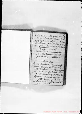 Fotogramma D 1