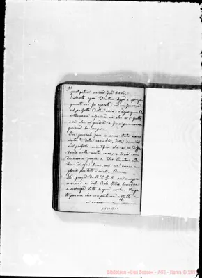 Fotogramma D 10